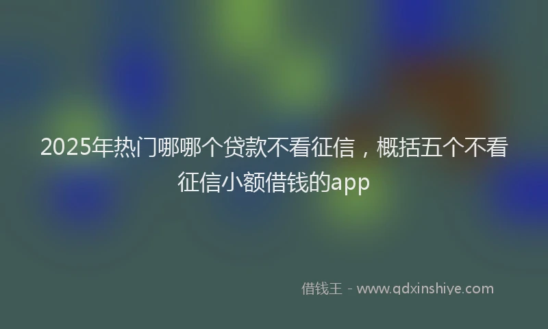 2025年热门哪哪个贷款不看征信，概括五个不看征信小额借钱的app