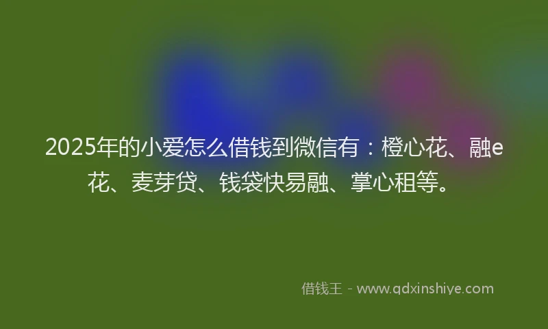 2025年的小爱怎么借钱到微信有：橙心花、融e花、麦芽贷、钱袋快易融、掌心租等。