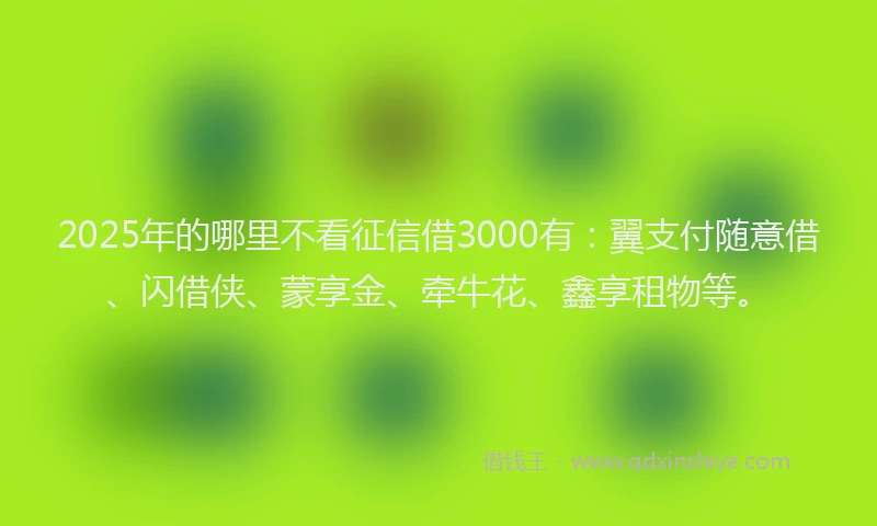 2025年的哪里不看征信借3000有：翼支付随意借、闪借侠、蒙享金、牵牛花、鑫享租物等。