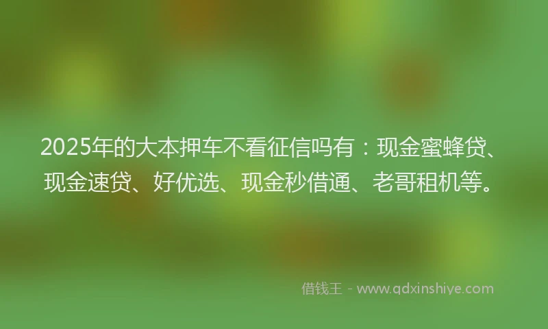 2025年的大本押车不看征信吗有：现金蜜蜂贷、现金速贷、好优选、现金秒借通、老哥租机等。