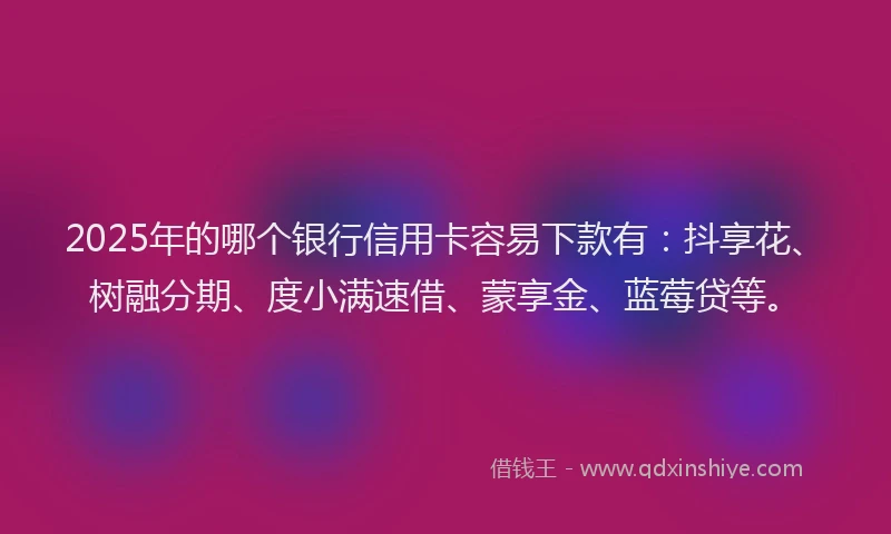 2025年的哪个银行信用卡容易下款有：抖享花、树融分期、度小满速借、蒙享金、蓝莓贷等。