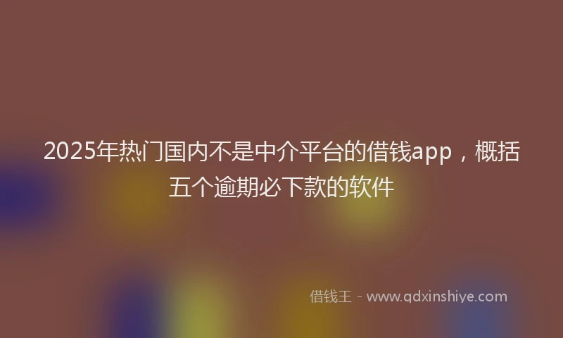 2025年热门国内不是中介平台的借钱app，概括五个逾期必下款的软件