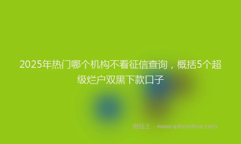 2025年热门哪个机构不看征信查询，概括5个超级烂户双黑下款口子
