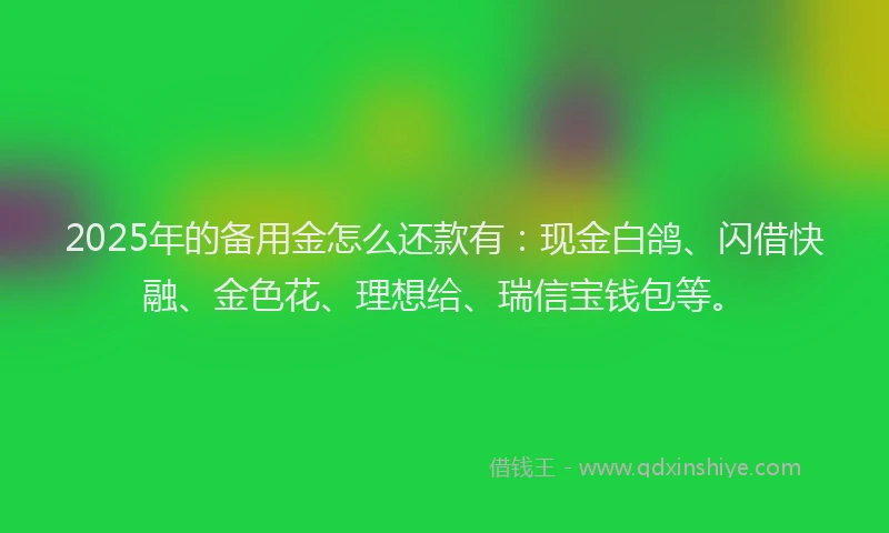 2025年的备用金怎么还款有：现金白鸽、闪借快融、金色花、理想给、瑞信宝钱包等。