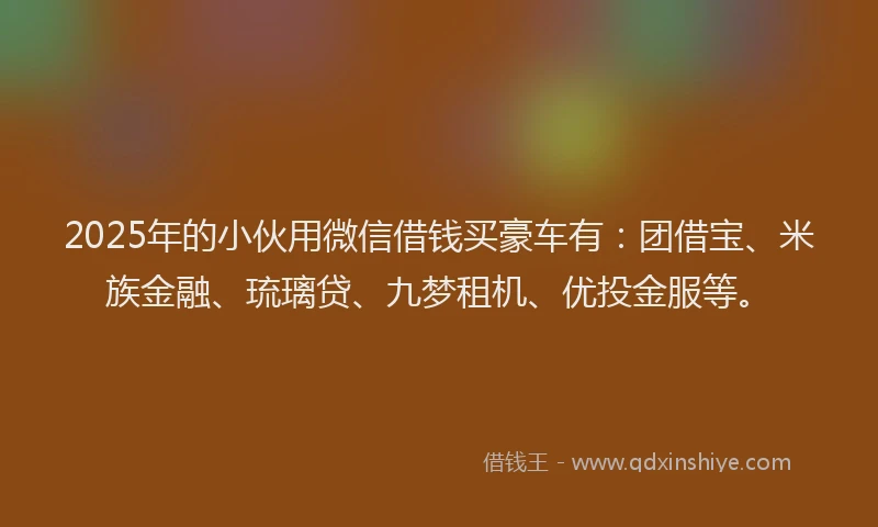 2025年的小伙用微信借钱买豪车有：团借宝、米族金融、琉璃贷、九梦租机、优投金服等。
