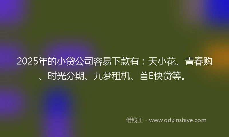 2025年的小贷公司容易下款有:天小花、青春购、时光分期、九梦租机、首E快贷等。