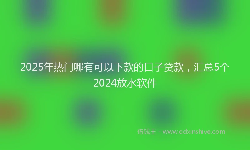 2025年热门哪有可以下款的口子贷款，汇总5个2024放水软件
