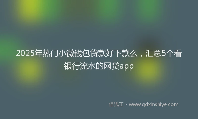 2025年热门小微钱包贷款好下款么，汇总5个看银行流水的网贷app