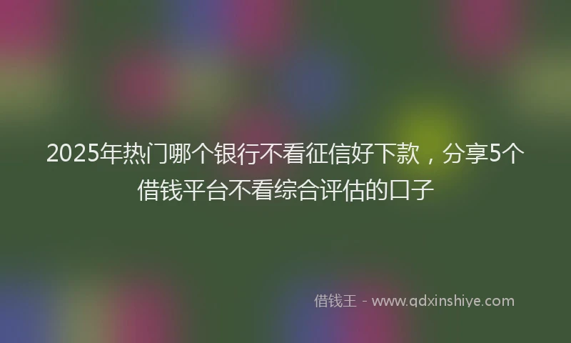 2025年热门哪个银行不看征信好下款，分享5个借钱平台不看综合评估的口子