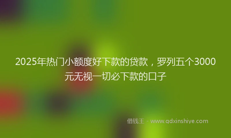 2025年热门小额度好下款的贷款，罗列五个3000元无视一切必下款的口子