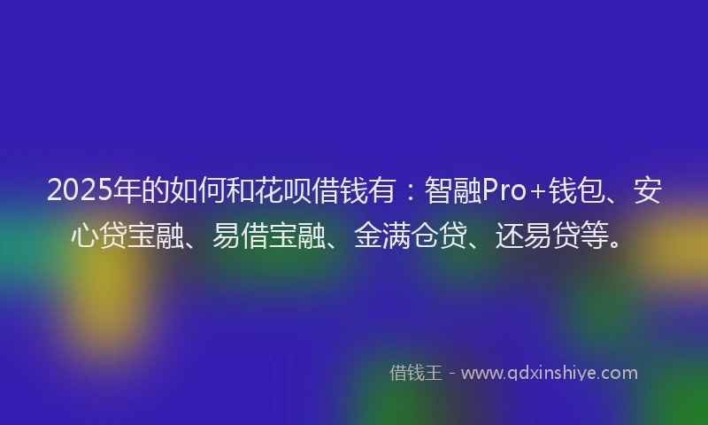 2025年的如何和花呗借钱有：智融Pro+钱包、安心贷宝融、易借宝融、金满仓贷、还易贷等。
