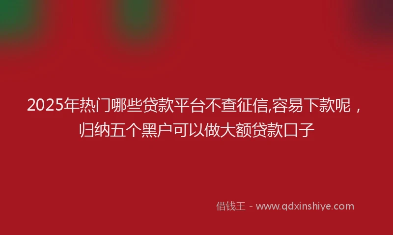 2025年热门哪些贷款平台不查征信,容易下款呢，归纳五个黑户可以做大额贷款口子