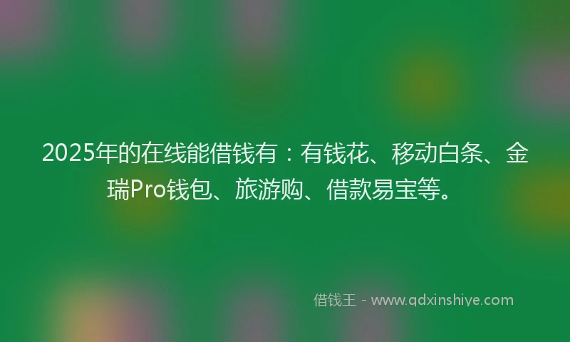 2025年的在线能借钱有：有钱花、移动白条、金瑞Pro钱包、旅游购、借款易宝等。