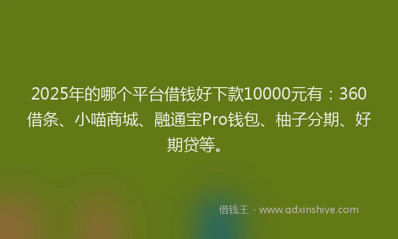2025年的哪个平台借钱好下款10000元有：360借条、小喵商城、融通宝Pro钱包、柚子分期、好期贷等。