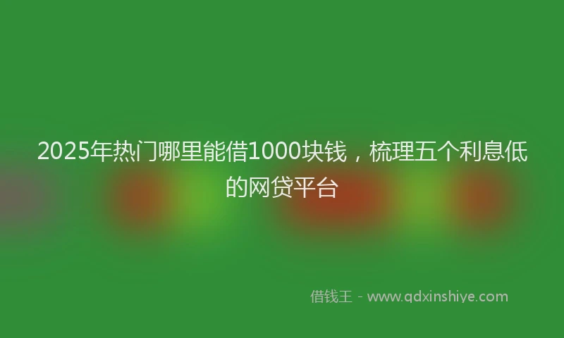 2025年热门哪里能借1000块钱，梳理五个利息低的网贷平台