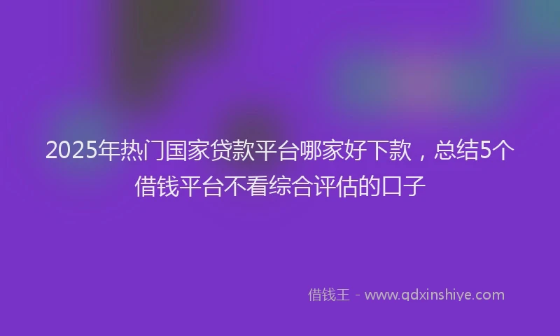 2025年热门国家贷款平台哪家好下款，总结5个借钱平台不看综合评估的口子