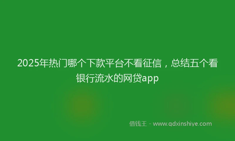 2025年热门哪个下款平台不看征信，总结五个看银行流水的网贷app