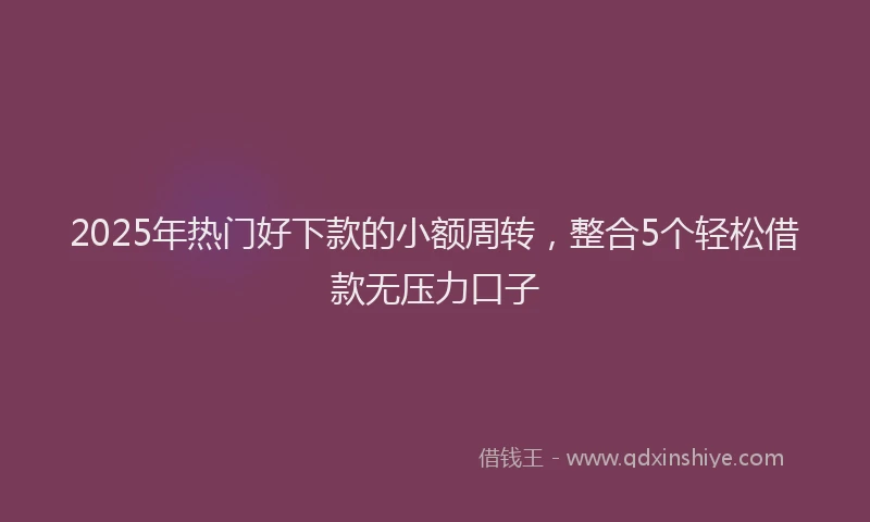 2025年热门好下款的小额周转，整合5个轻松借款无压力口子