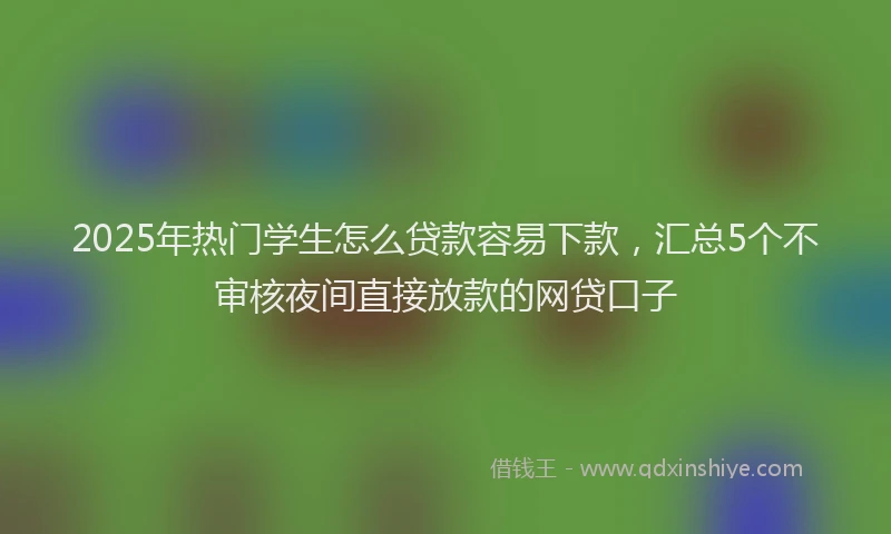 2025年热门学生怎么贷款容易下款，汇总5个不审核夜间直接放款的网贷口子