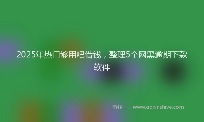2025年热门够用吧借钱，整理5个网黑逾期下款软件