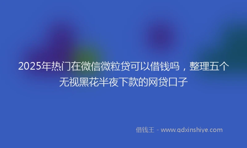 2025年热门在微信微粒贷可以借钱吗，整理五个无视黑花半夜下款的网贷口子