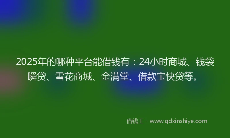 2025年的哪种平台能借钱有：24小时商城、钱袋瞬贷、雪花商城、金满堂、借款宝快贷等。