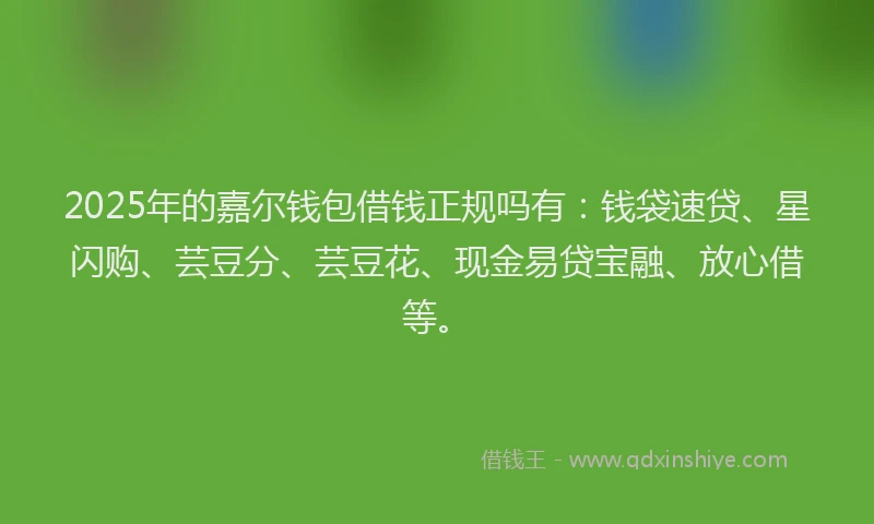 2025年的嘉尔钱包借钱正规吗有：钱袋速贷、星闪购、芸豆分、芸豆花、现金易贷宝融、放心借等。
