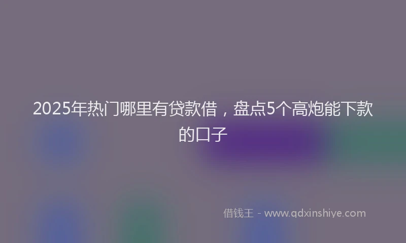 2025年热门哪里有贷款借，盘点5个高炮能下款的口子