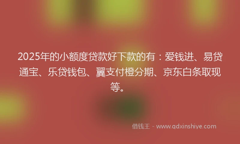 2025年的小额度贷款好下款的有：爱钱进、易贷通宝、乐贷钱包、翼支付橙分期、京东白条取现等。