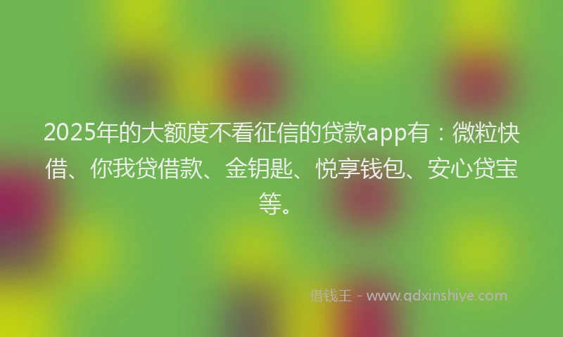 2025年的大额度不看征信的贷款app有：微粒快借、你我贷借款、金钥匙、悦享钱包、安心贷宝等。