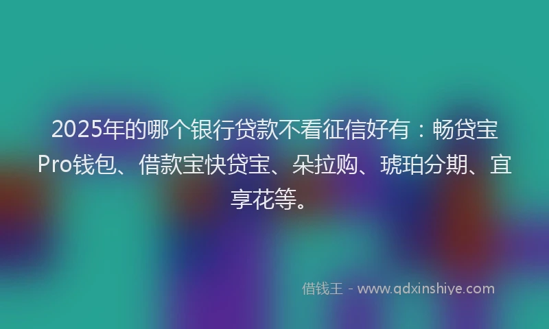 2025年的哪个银行贷款不看征信好有：畅贷宝Pro钱包、借款宝快贷宝、朵拉购、琥珀分期、宜享花等。