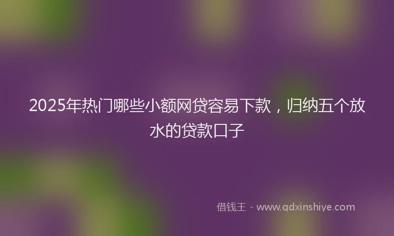 2025年热门哪些小额网贷容易下款，归纳五个放水的贷款口子