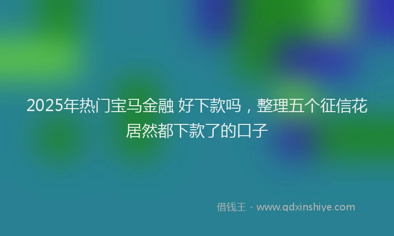 2025年热门宝马金融 好下款吗，整理五个征信花居然都下款了的口子