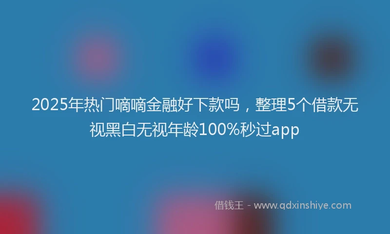 2025年热门嘀嘀金融好下款吗，整理5个借款无视黑白无视年龄100%秒过app