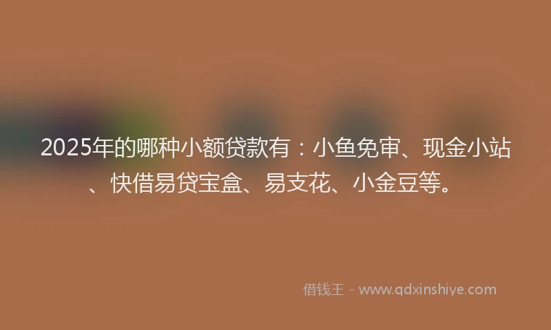 2025年的哪种小额贷款有：小鱼免审、现金小站、快借易贷宝盒、易支花、小金豆等。