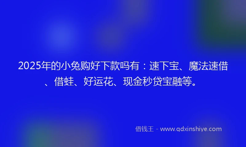 2025年的小兔购好下款吗有：速下宝、魔法速借、借蛙、好运花、现金秒贷宝融等。