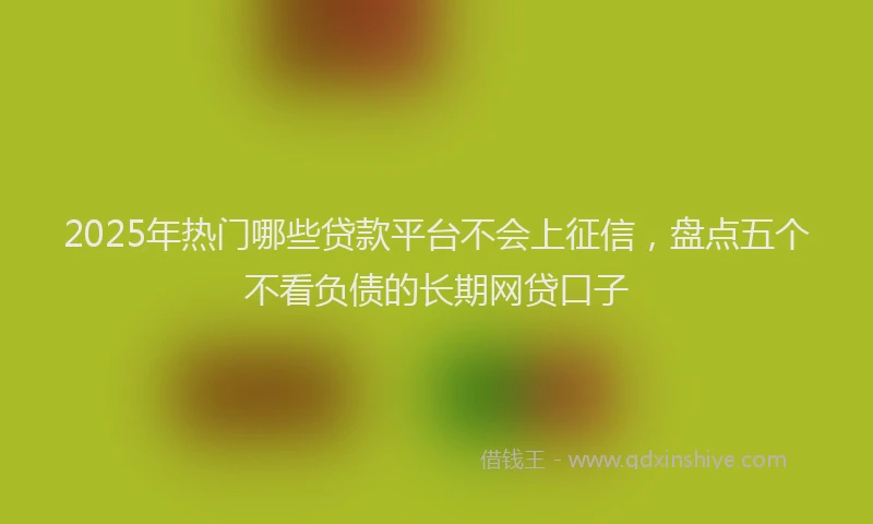 2025年热门哪些贷款平台不会上征信，盘点五个不看负债的长期网贷口子