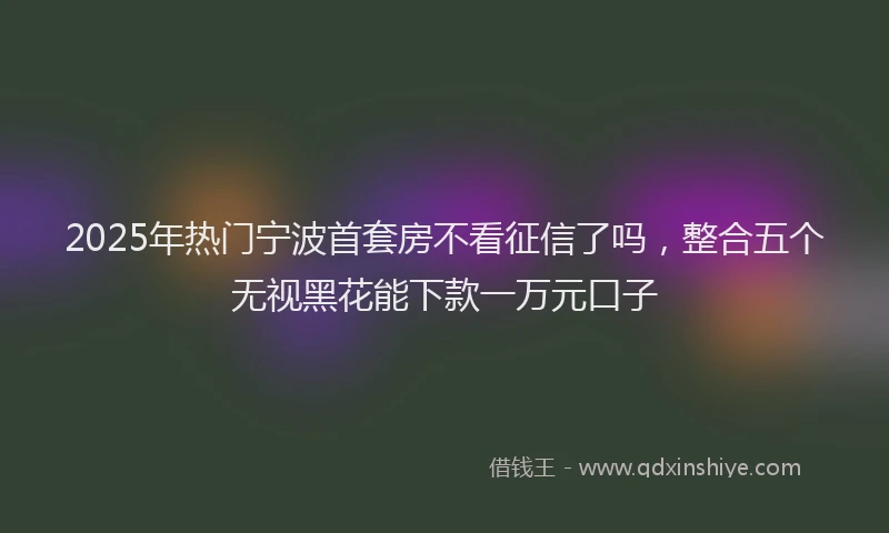 2025年热门宁波首套房不看征信了吗，整合五个无视黑花能下款一万元口子