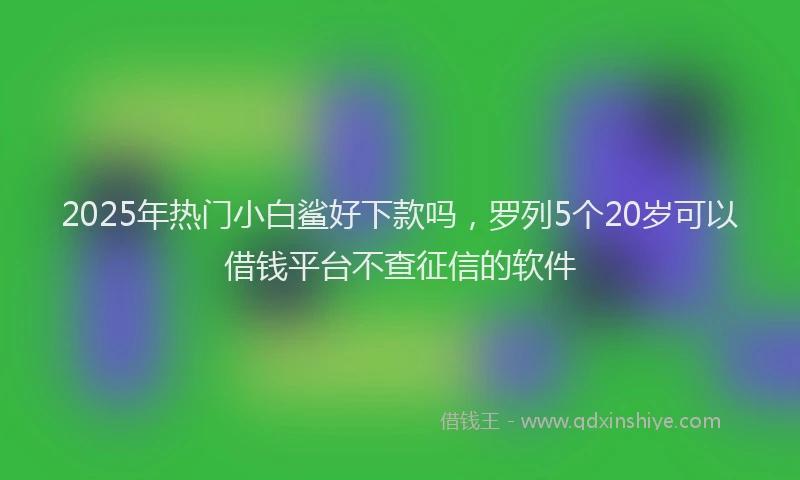 2025年热门小白鲨好下款吗，罗列5个20岁可以借钱平台不查征信的软件