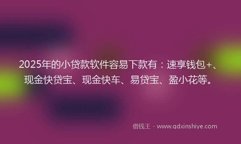 2025年的小贷款软件容易下款有：速享钱包+、现金快贷宝、现金快车、易贷宝、盈小花等。
