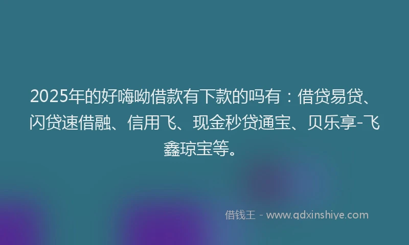 2025年的好嗨呦借款有下款的吗有：借贷易贷、闪贷速借融、信用飞、现金秒贷通宝、贝乐享-飞鑫琼宝等。