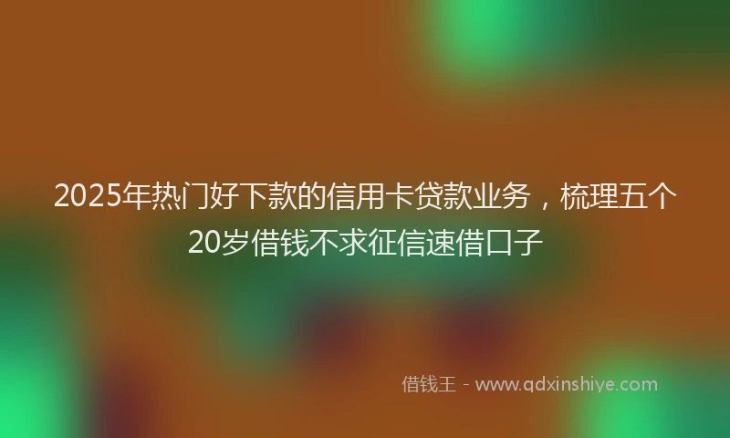 2025年热门好下款的信用卡贷款业务，梳理五个20岁借钱不求征信速借口子