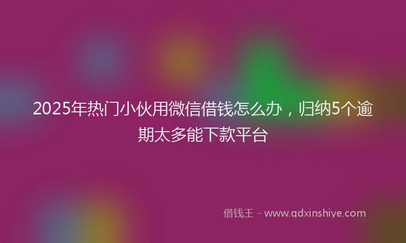2025年热门小伙用微信借钱怎么办，归纳5个逾期太多能下款平台