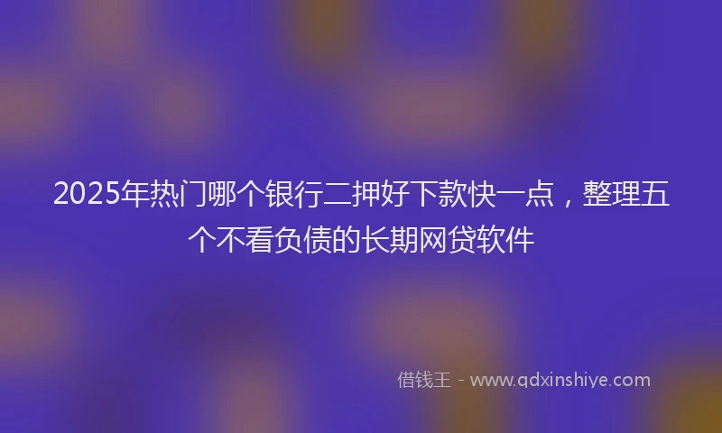 2025年热门哪个银行二押好下款快一点，整理五个不看负债的长期网贷软件