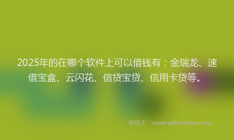 2025年的在哪个软件上可以借钱有：金瑞龙、速借宝盒、云闪花、信贷宝贷、信用卡贷等。