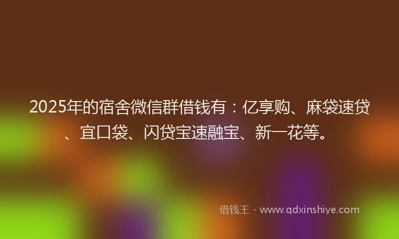 2025年的宿舍微信群借钱有：亿享购、麻袋速贷、宜口袋、闪贷宝速融宝、新一花等。