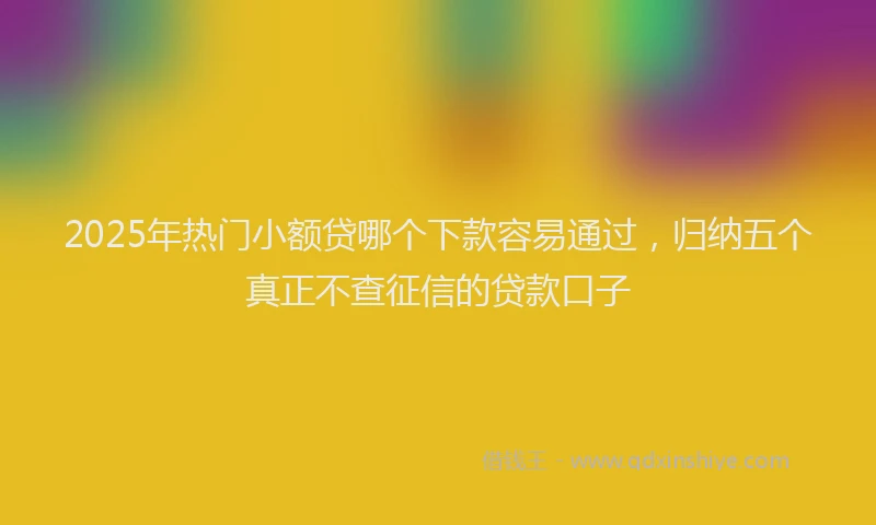 2025年热门小额贷哪个下款容易通过，归纳五个真正不查征信的贷款口子