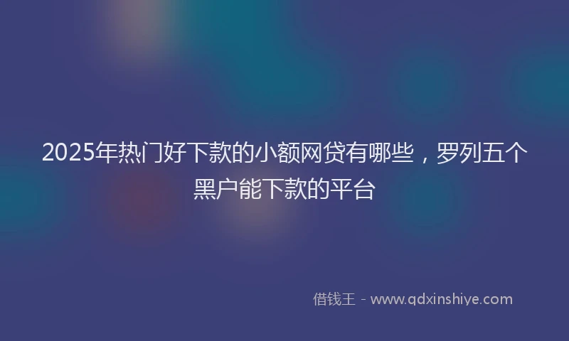 2025年热门好下款的小额网贷有哪些，罗列五个黑户能下款的平台