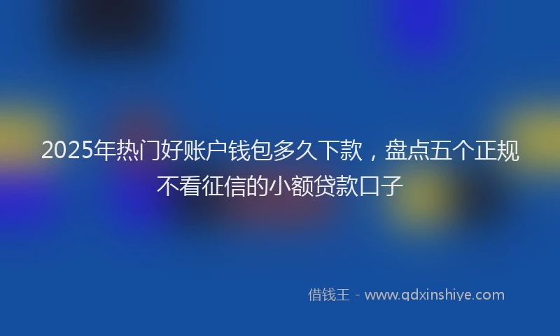 2025年热门好账户钱包多久下款，盘点五个正规不看征信的小额贷款口子