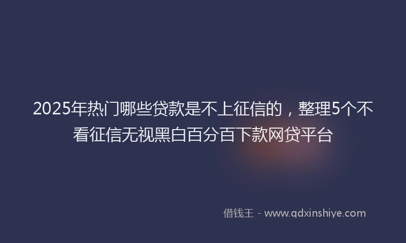 2025年热门哪些贷款是不上征信的，整理5个不看征信无视黑白百分百下款网贷平台